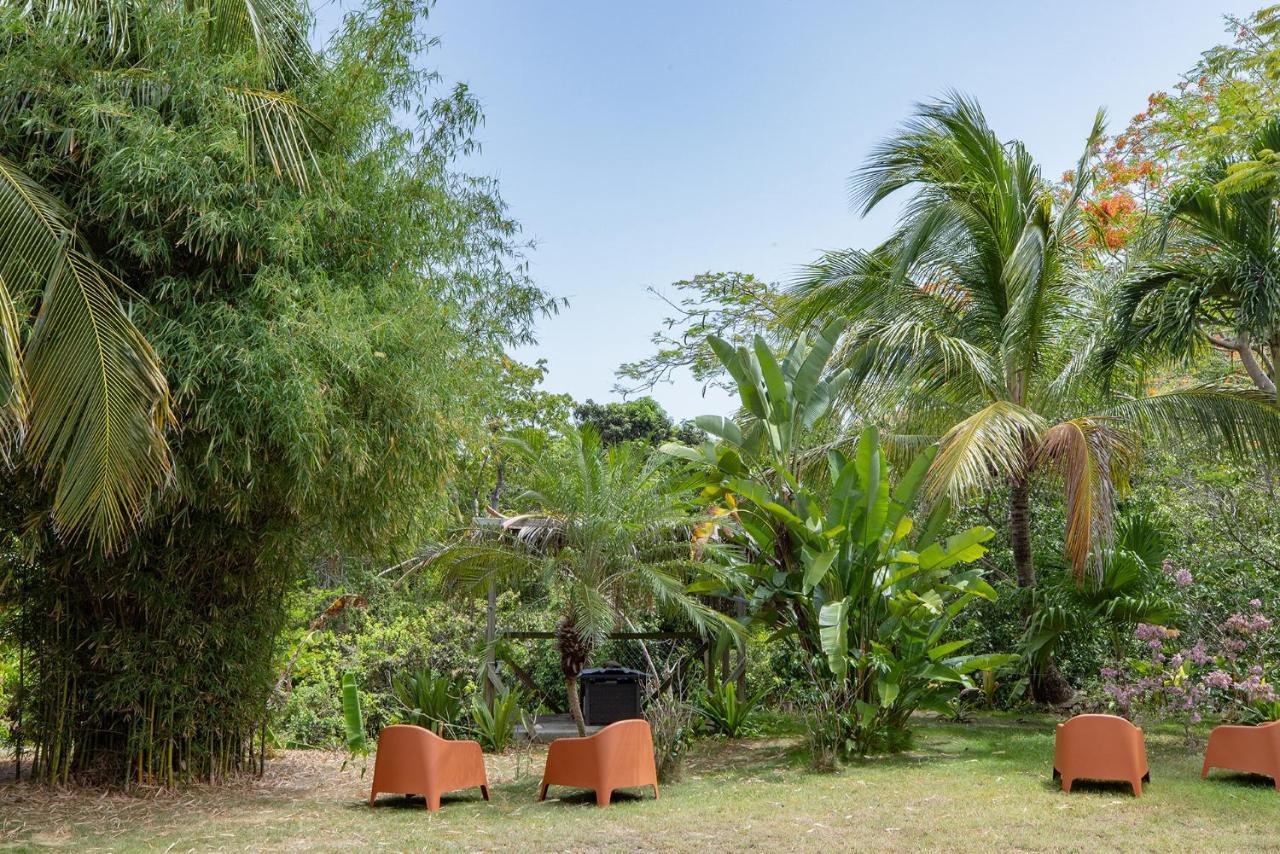 Vieques Tropical Guest House Exterior foto
